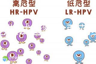 合肥做試管嬰兒要花多少錢？進周期前這些注意事項都來看看