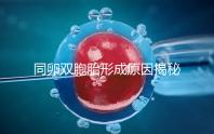 同卵雙胞胎形成原因揭秘，發(fā)育過程圖帶你弄清其中原理