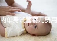 國(guó)內(nèi)單身試管嬰兒費(fèi)用大概要多少錢一次？附費(fèi)用明細(xì)！