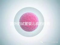 國(guó)外的試管嬰兒真的很有優(yōu)勢(shì)嗎(國(guó)外的試管嬰兒真的很有優(yōu)勢(shì)嗎視頻)