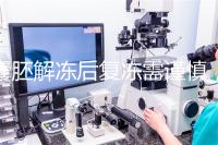 囊胚解凍后復凍需謹慎，這些對胚胎質量的影響不可不知