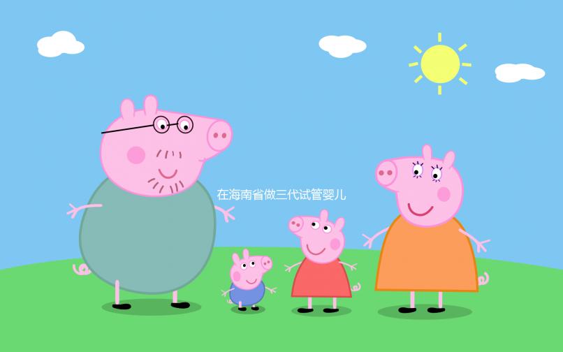 在海南省做三代試管嬰兒一般要花費多少，全面介紹費用項目與相關要素