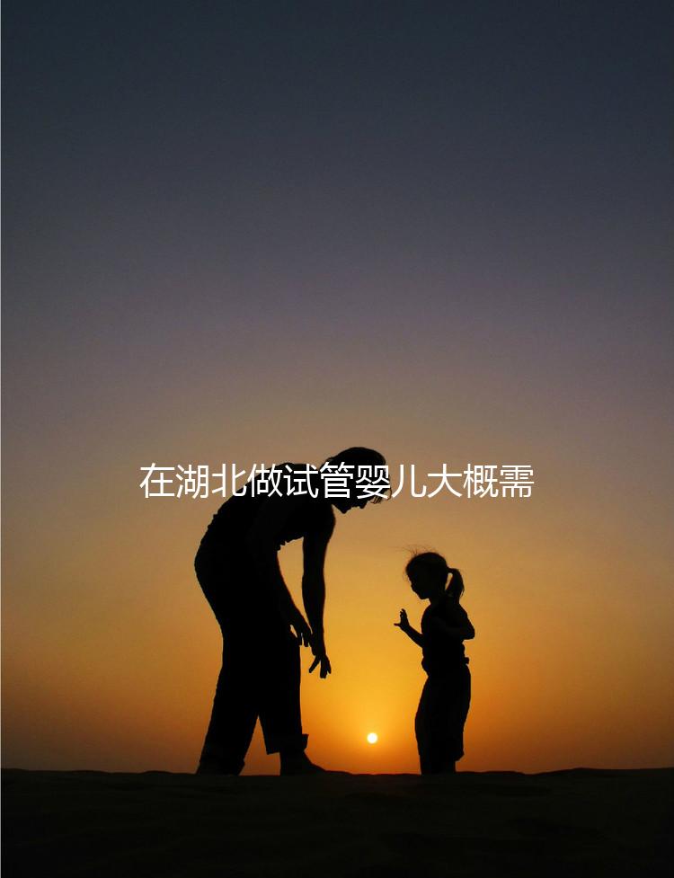 在湖北做試管嬰兒大概需要準(zhǔn)備多少費(fèi)用？詳細(xì)費(fèi)用解析