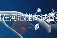 地貧在河池能做試管嬰兒?jiǎn)幔繌V西哪些醫(yī)院能做第三代試管?