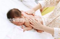 地骨皮的功效與作用(地骨皮的功效與作用與主治)