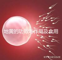 地黃的功效與作用及食用方法(黑豆熟地黃的功效與作用及食用方法)