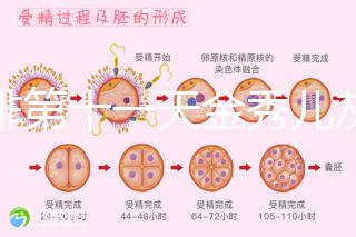 促排第十一天金秀兒灰印、白板均有希望，抽血hcg2懷孕懸