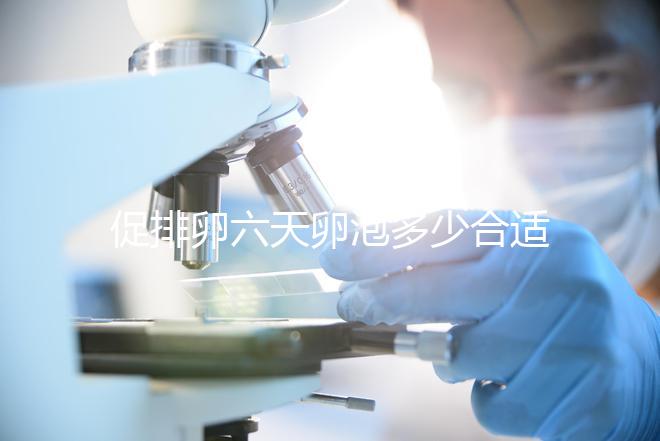 促排卵六天卵泡多少合適的人,年齡小,卵巢好7毫米也正常