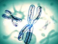 俄羅斯第三代試管嬰兒費(fèi)用和成功率分別是多少