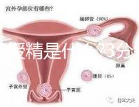 人工授精是什么?3分鐘讀完這篇文章，解答你所有疑問
