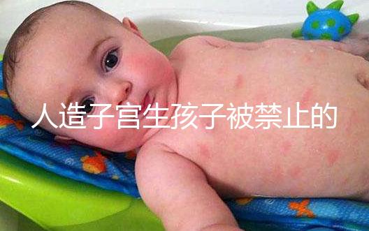 人造子宮生孩子被禁止的原因有三，會不會被允許未成定論