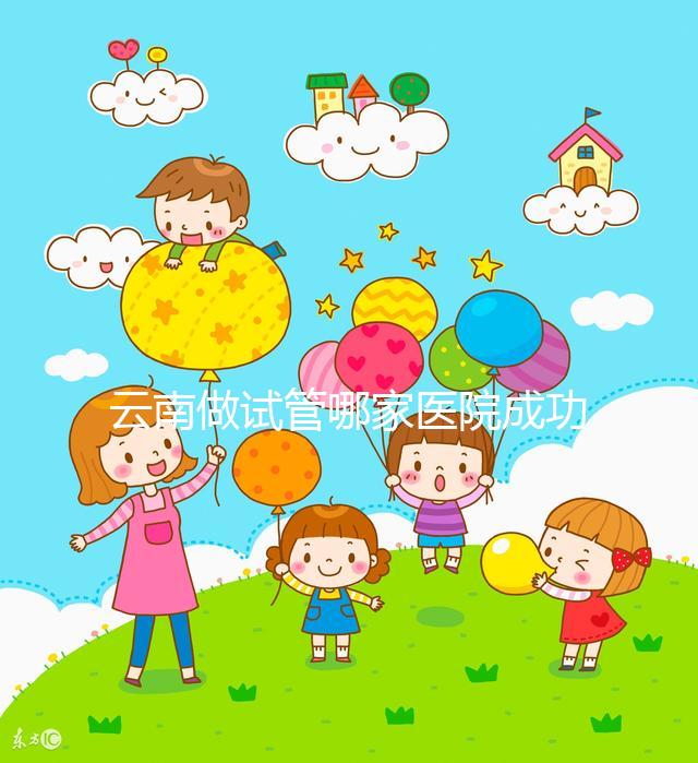 云南做試管哪家醫(yī)院成功率最高（哪里做試管便宜,成功率又高？）