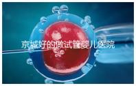 京城好的做試管嬰兒醫院(北京最出名試管醫院)