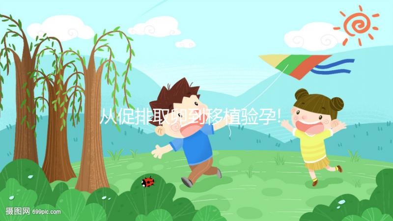 從促排取卵到移植驗(yàn)孕!美國(guó)試管嬰兒流程共有7步