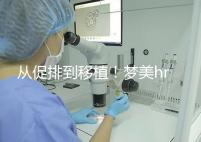 從促排到移植!夢美hrc試管嬰兒流程共7步