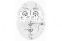 什么時(shí)候排卵比較容易?