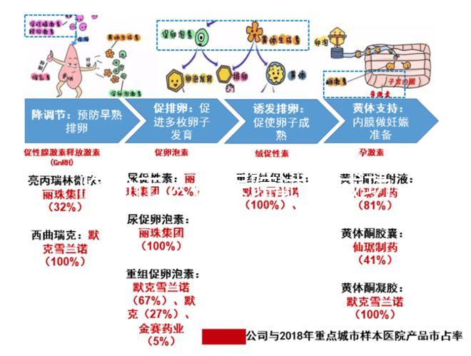 臨汾市人民醫院試管成功率怎么樣,2024好孕案例揭開謎底