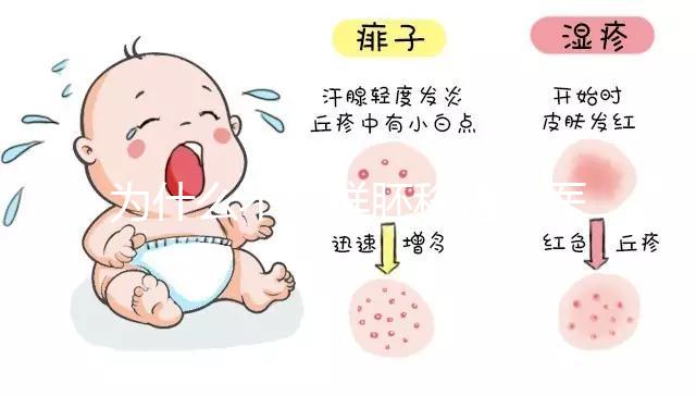 為什么不能鮮胚移植？醫生沒有細說的答案全在這里