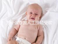 為什么泰國人工授精受歡迎?高成功率僅為3大優(yōu)勢之一