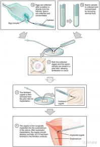 不知欽州哪家男科醫院好戳,機構能不能一目了然