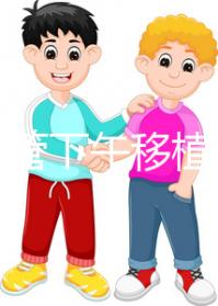 不懂試管下午移植上午要不要請假速覽，何時開始一看便知