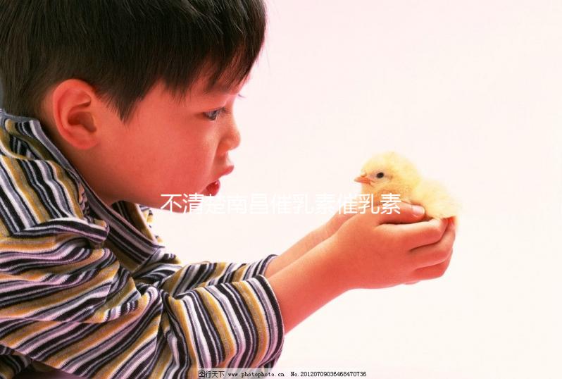 不清楚南昌催乳素催乳素催收如何收費快速閱讀，專業問題讓你花更少的錢