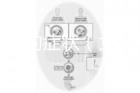 不孕癥的癥狀(女性不孕不育十大特征)