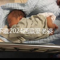 不造2024西藏娶老婆彩禮多少？日喀則、拉薩標準不同戳