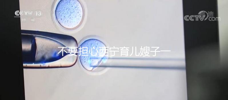 不要擔心西寧育兒嫂子一個月多少錢,關心機構是否正式