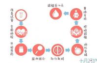專治停經(jīng)、絕經(jīng)、卵巢早衰?利維愛(ài)的作用與適應(yīng)癥分析