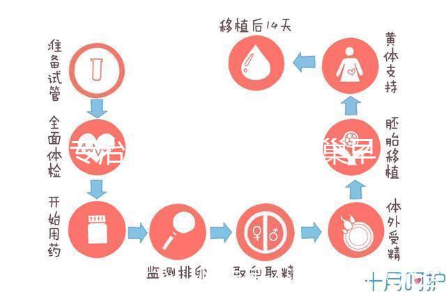 專治停經(jīng)、絕經(jīng)、卵巢早衰？利維愛的作用與適應(yīng)癥分析