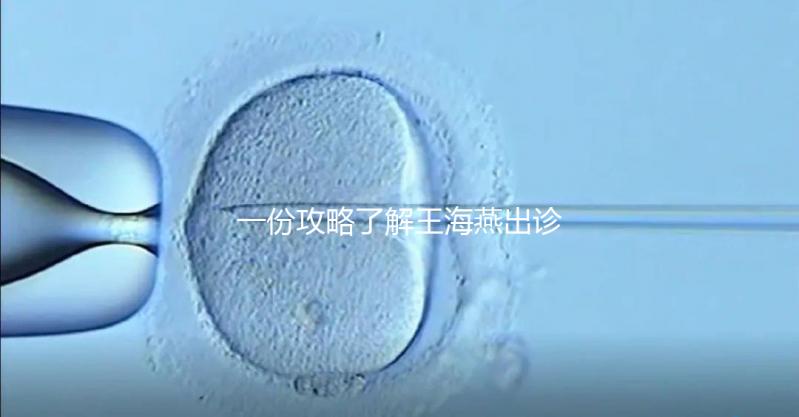 一份攻略了解王海燕出診表,讓你在北醫三院掛號更簡單