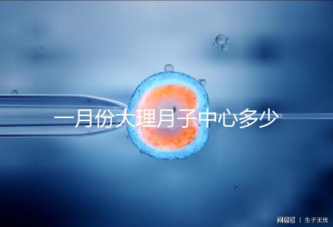 一月份大理月子中心多少錢早知道，2024年排名前十的機(jī)構(gòu)