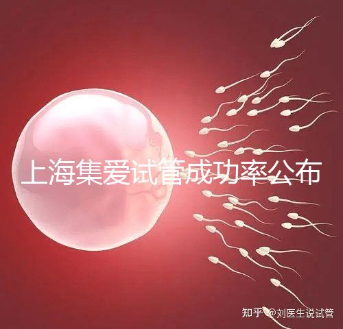 上海集愛試管成功率公布，排名輕松進入全國前二十！