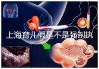 上海育兒假是不是強(qiáng)制執(zhí)行已明確，2024虹口區(qū)何時(shí)執(zhí)行戳