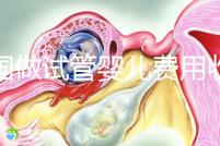 中國(guó)做試管嬰兒費(fèi)用收費(fèi)價(jià)目表一覽,包含具體成本預(yù)算