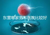 東營哪家男科醫(yī)院比較好?十家機(jī)構(gòu)實(shí)力競爭激烈
