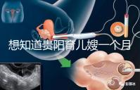 想知道貴陽(yáng)育兒嫂一個(gè)月戳多少錢(qián),云巖2萬(wàn)夠不夠