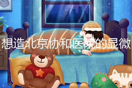 想造北京協和醫院的顯微鏡取精多少錢?2萬不看情況