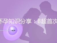 懷孕知識(shí)分享:B超首次揭示羊膜囊形成時(shí)間