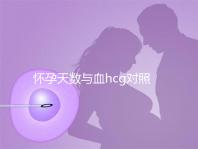 懷孕天數與血hcg對照表參考，孕早期排除病理性生化妊娠