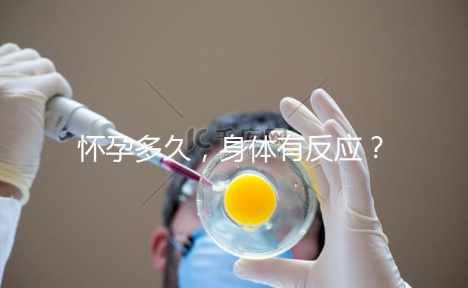 懷孕多久，身體有反應(yīng)？