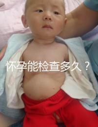 懷孕能檢查多久?