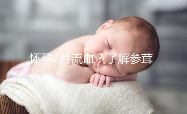 懷孕2月流血？了解參茸保胎丸作用可輕松保胎