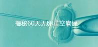 揭秘60天無卵黃空囊保胎成功表現,這些經典案例別錯過