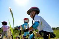 拉拉領(lǐng)結(jié)婚證多少錢?2024年注冊(cè)最高數(shù)