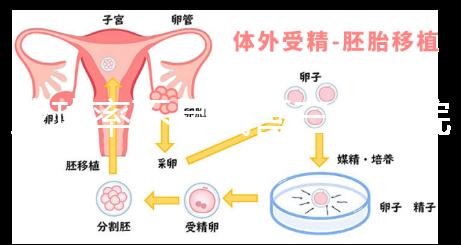成功率不是試管三甲醫(yī)院或私立醫(yī)院的唯一標準