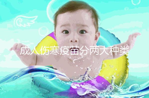 成人傷寒疫苗分兩大種類，選擇使用口服還是注射都不錯