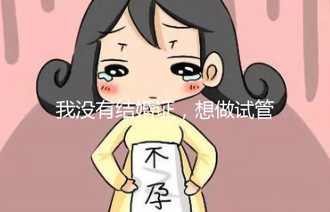 我沒有結婚證，想做試管嬰兒，可以做嗎