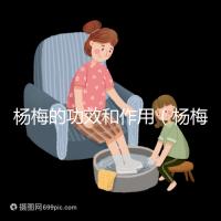 楊梅的功效和作用(楊梅的功效和作用禁忌 營養(yǎng)價(jià)值)